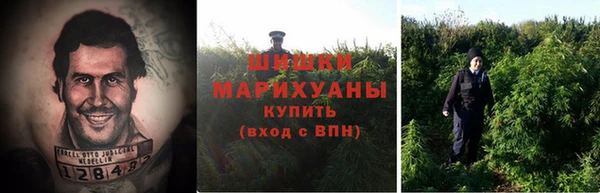 дурь Богородск