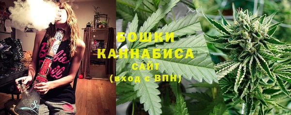 соль ск Белокуриха