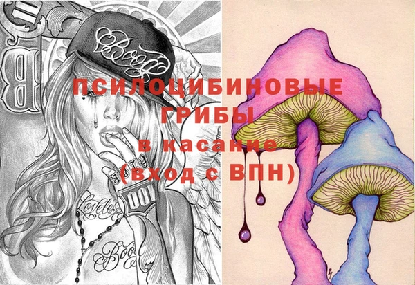 дурь Богородск