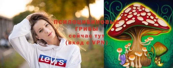 крисы Белоозёрский