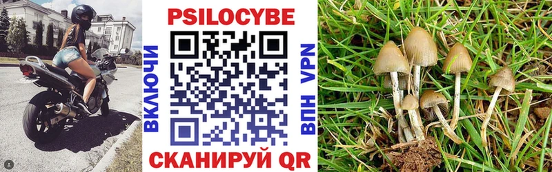 сколько стоит  Богучар  Галлюциногенные грибы ЛСД 